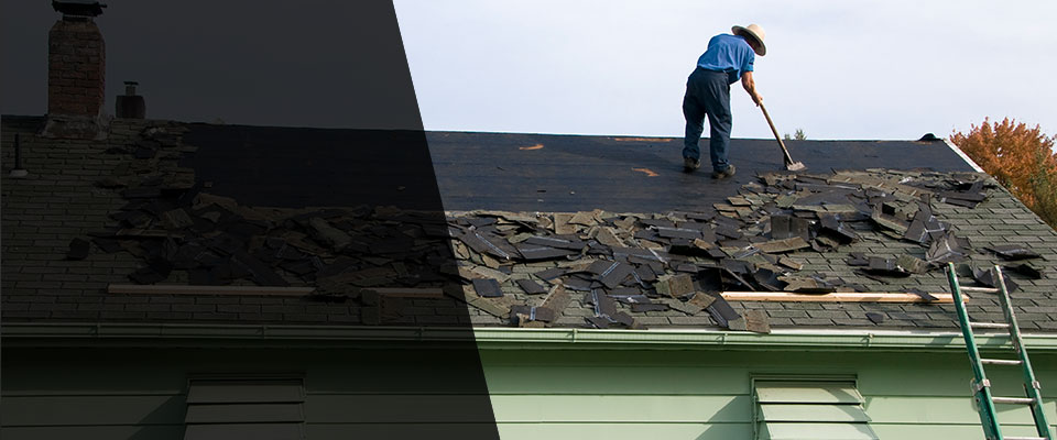 Mascotte Roofing Contractors
